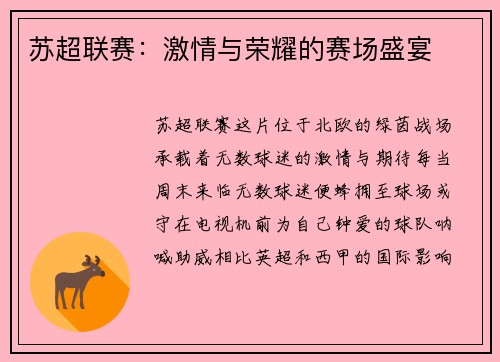 苏超联赛：激情与荣耀的赛场盛宴